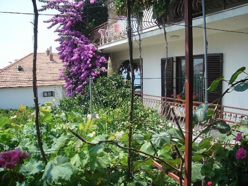 Apartment Knez Trogir Exterior foto